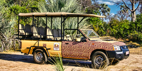 ½-Day Victoria Falls Town Safari in 4x4 Jeep