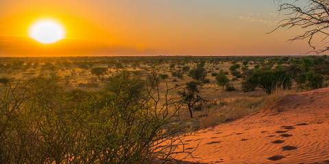12-Day Classic Namibia Guided Safari