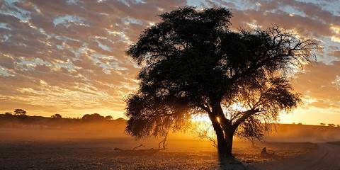 14-Day Ultimate Namibian Safari (Lodging)