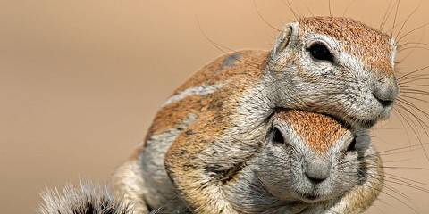 12-Day Classic Namibia Self Drive Tour