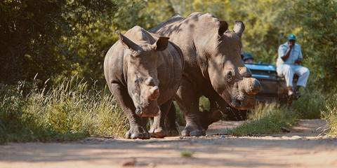 5-Day Beautiful Hotel at the Paul Kruger Gate