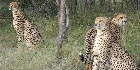 10-Day Adventurous South Africa and Eswatini