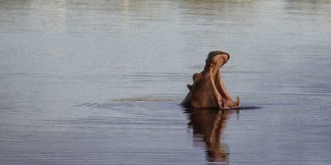 14-Day Malawi Family Safari Adventure