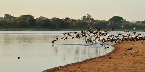 6-Day Discovering the Wonders of Lake Malawi