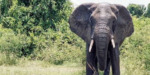 14-Day Malawi off the Beaten Track Safari