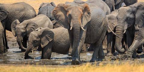 10-Day Best Namibian Attractions Self-Drive Safari