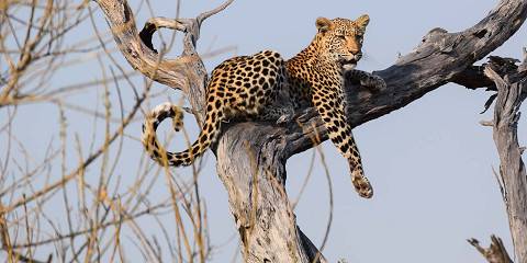 3-Day Okavango Delta- Khwai Concession