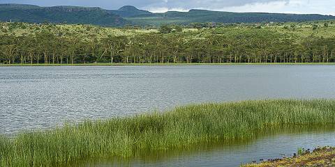 9-Day Magical Kenya Savannah Wildlife and Beach Hoiliday