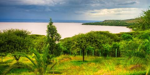 7-Day Rift Valley and Bale Mountains National Park