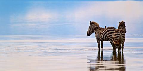 7-Day Affordable Tanzania Safari – Big Five & More