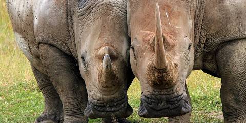 8-Day Into the Wild - Mid-Range