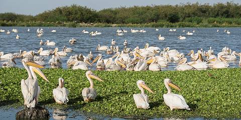 16-Day Ethiopia Ultimate Discovery-North &South Adventure