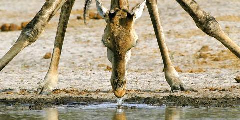 3-Day Chobe Buget Camping from Kasane