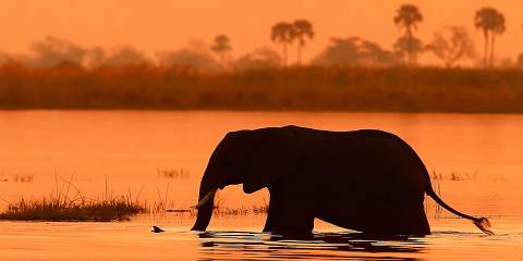 3-Day Okavango Delta Mokoro Safari Tour