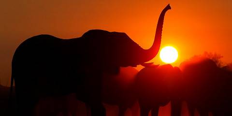 10-Day Extraordinary Expedition