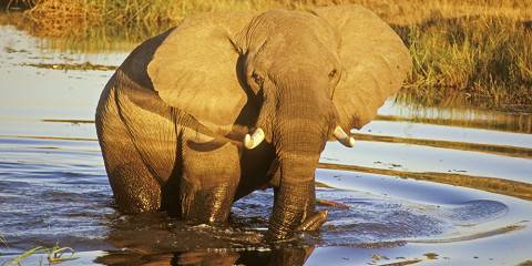 7-Day Expedition Tour