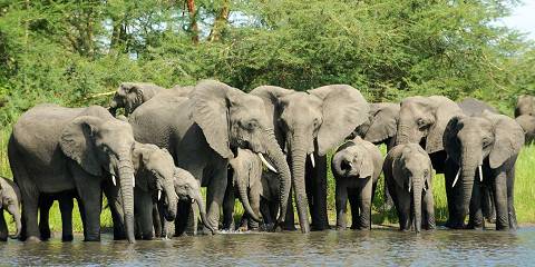 13-Day Malawi Deluxe Adventure