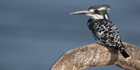 13-Day Unforgetable Safari in Malawi