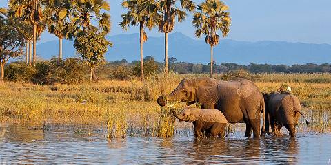 10-Day Malawi Experience