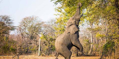 9-Day Malawi Culture, Wildlife and Vibes