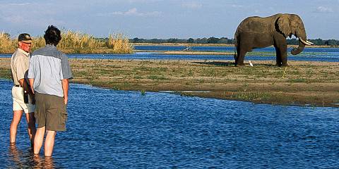 4-Day Lower Zambezi Canoe Experience
