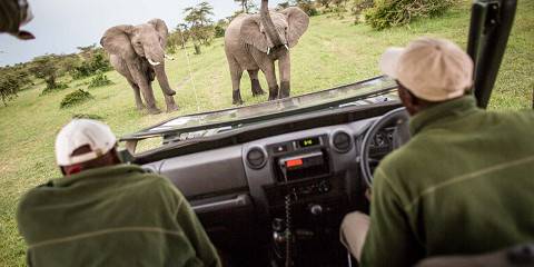 3-Day Safari from Mombasa to Tsavo East and Tsavo West