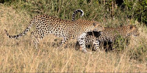 2-Day Amboseli National Park