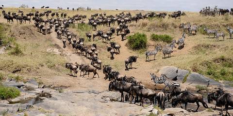 7-Day Off the Beaten Path - Luxury