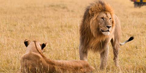 5-Day Magical Kenya Luxury