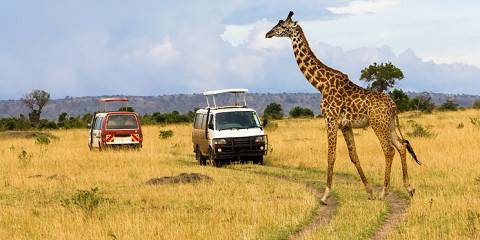 3-Day Masai Mara Fly-in Safari from Mombasa or Diani