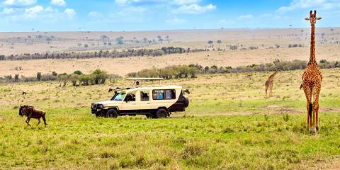 3-Day Budget Safari Adventure in Masai Mara
