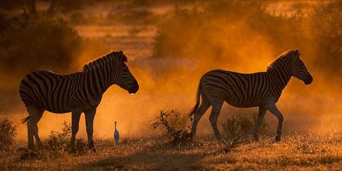 7-Day Botswana Walking Safari Central Tuli