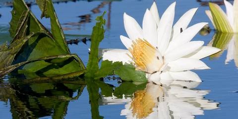 3-Day Mokoro Overnight Private Tour