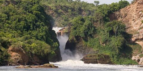 3-Day Uganda Birding Safari, Shoebill, Budogo& Murchison