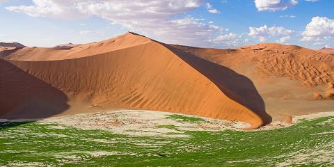 18-Day Wildlife, Landscapes and Cultural Safari (Lodging)