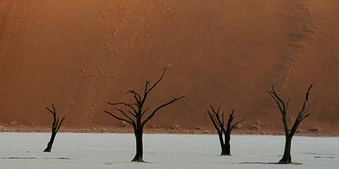 13-Day Cape Town to Namibia