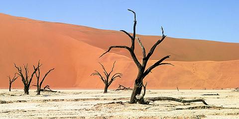 Namibia Highlights Self-Drive Safari