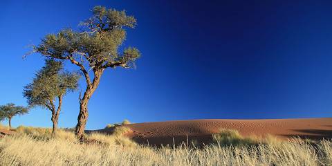 7-Day Highlights Namibia Mid-Range Fly-in Safari