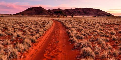 4-Day Standard Desert Dream Tour