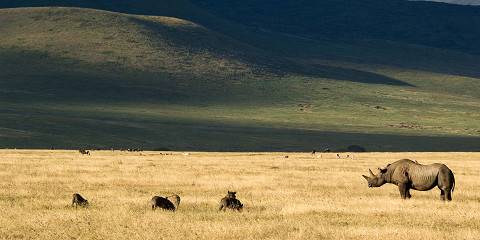 3-Day Safari from Zanzibar -Tarangire/Ngorongoro/Manyara