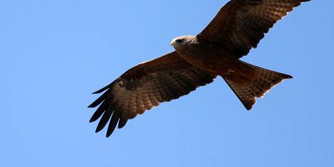 4-Day Above and Beyond - Luxury