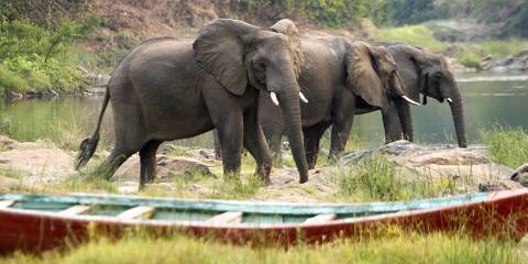 11-Day Ultimate Malawi Adventure