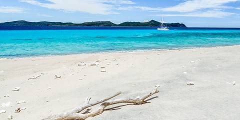 8-Day Amber & Ankarana Exploration