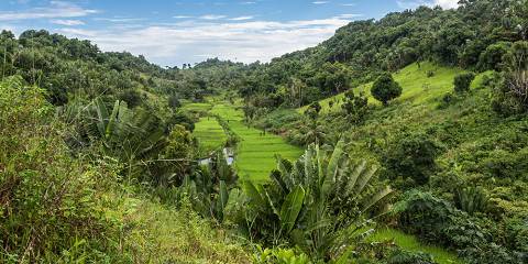 8-Day Wild East Madagascar Adventure