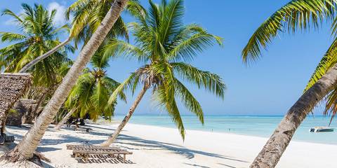 5-Day Beach and Sea Turtule Expedition