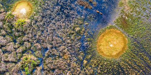 7-Day Botswana & Zimbabwe - Okavango & Vic Falls