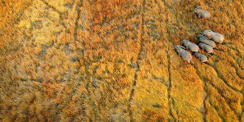 14-Day Luxury Cape Town, Okavango Delta & Victoria Falls