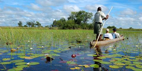 3-Day Mokoro Overnight-Okavango Delta