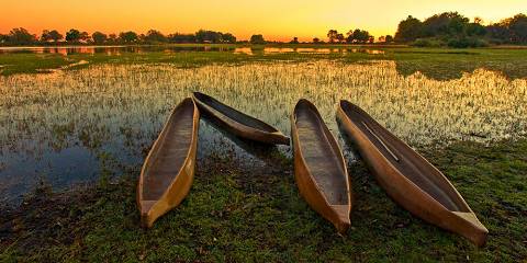 7-Day Chobe NP, Okavango Delta & Victoria Falls Luxury