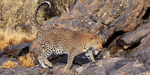 12-Day Self-Drive Namibia Attractions Safari